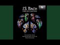 Christ lag in Todes Banden, BWV 4: IV. Aria. Jesus Christus, Gottes Sohn (Tenor)