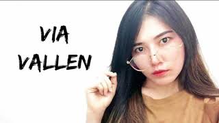 Download lagu Via Vallen - Selingkuh ( DJ BREAKBEAT ) baru 2018 mp3