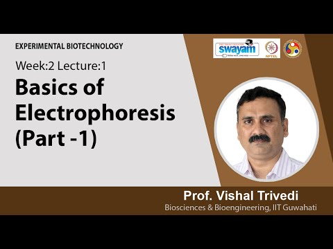 Experimental Biotechnology Intro Video