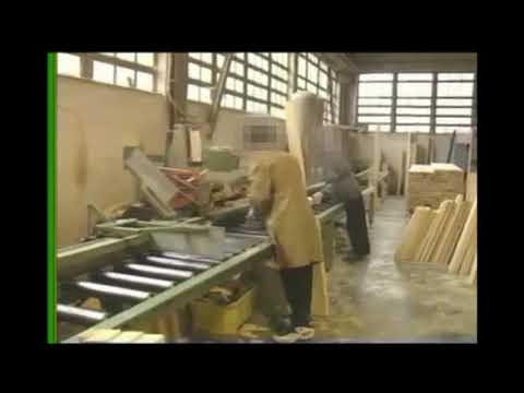 Troncatrice pendolare Stromab usata