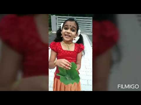 CHAKKARA PANTHALIL DANCE OF AISHU