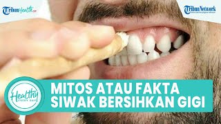 Mitos atau Fakta Siwak Dapat Membersihkan Gigi dan Mulut? Simak Penjelasan drg. Anastasia Ririen