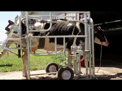 download lagu mp3 mp4 Parage Bovin Prix, download lagu Parage Bovin Prix gratis, unduh video klip Parage Bovin Prix