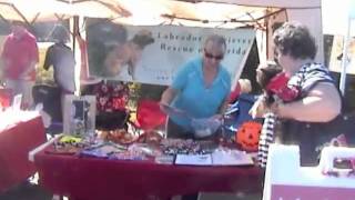 Barney at Barktoberfest