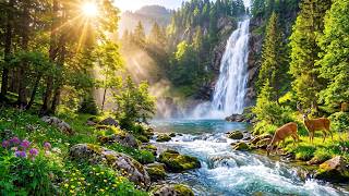 Peace Begins Within 🌿 Calming Music and Water Sounds to Quiet Your Mind