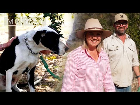 The Folly Truffles offers the complete Granite Belt experience | My Way