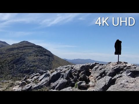 RELAJACIÓN PROFUNDA, Reserva Provincial E. TORNQUIST | Sonidos Reales con Guitarra Criolla