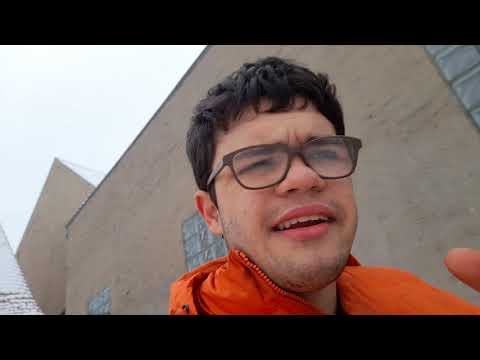 hybridhühner, Rassehühner oder Mischlinge was ist am besten