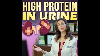 High Protein In Urine