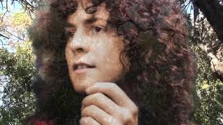Tyrannosaurus Rex. Marc Bolan and  Steve Peregrin Took. Blessed Wild Apple Girl