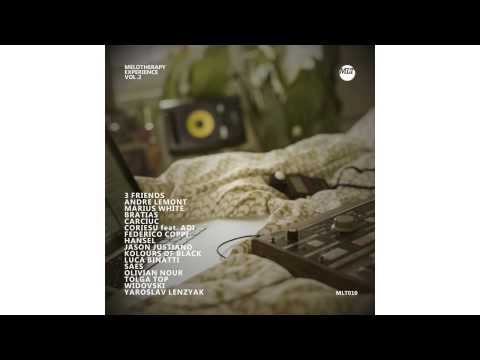 Tolga Top - Area (Original Mix) // MLT010