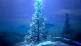 Lo, How a Rose E'er Blooming - 16th Century (German) Christmas Carol