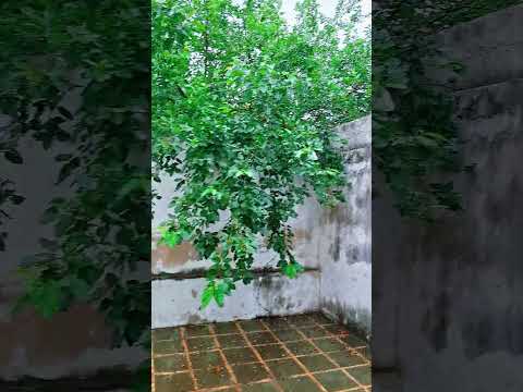 Alquiler - Dpto. 1 Dormitorio + Patio!! - Sgto. Cabral al 1200 - B° San Vicente - Córdoba.