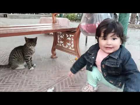 Zohra Playing With Cat