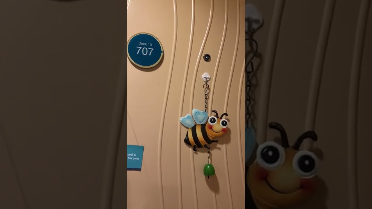 Oasis of the Seas - Cabin 10707 - Video 1