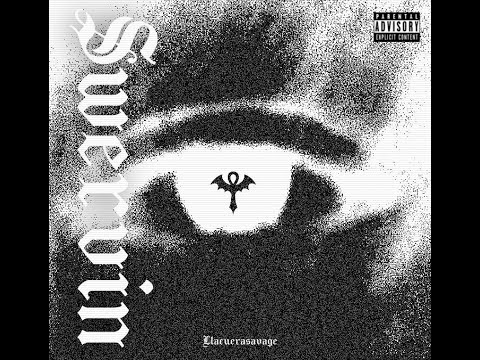 Llacuerasavage - $WERVIN