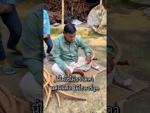 ไม้ชิ้นเล็ก สร้างดอกไม้ทั้งดอก