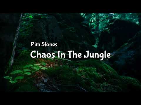 Pim Stones - Chaos In The Jungle (Lyric video)