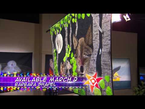 The Quilt Show: Trailer 1605 - Barbara Shapel