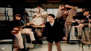 The Outsiders - Time Won&#39;t Let Me (1966)