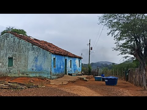 Chuva 🌧️ abençoada/ Sítio Mamoeiro Verdejante PE 