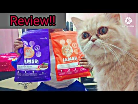 IAMS Cat food Review !!  should u buy this food or not || fluffy cats