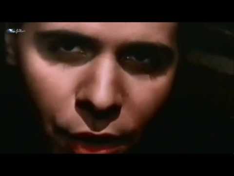 MOOS - AU NOM DE LA ROSE