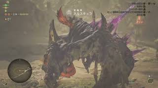 [MHWilds]久しぶりの初見モンハン！part 6