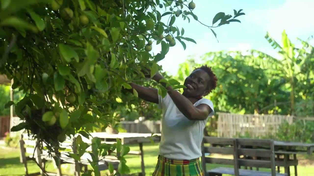 ROOTS OF RESILIENCE: STORIES OF CARIBBEAN WOMEN IN AGRICULTURE (Trailer)