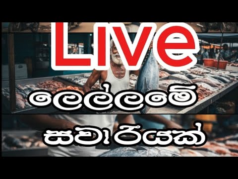 Nuwan’s Nature Lens is live!