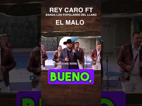 Rey Caro El Malo  #musicadebanda #exitos #bandamusic #caballos