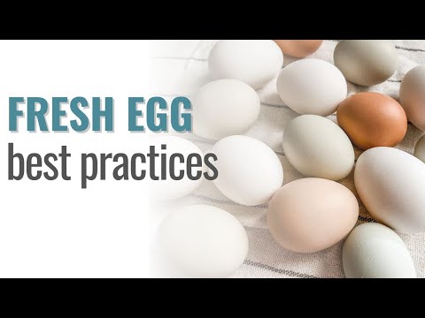 The Correct Way to Clean & Store Fresh Eggs