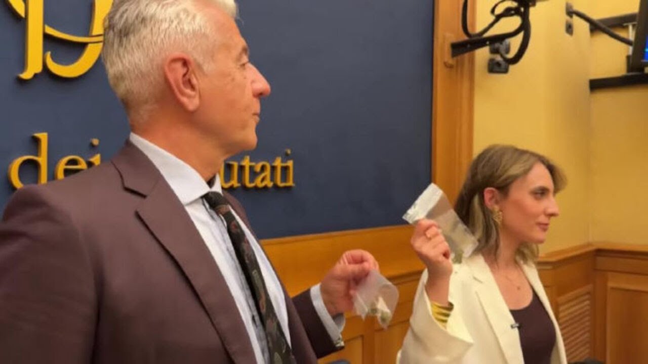 Cannabis sopra al decreto sicurezza in Parlamento, la protesta di Più Europa