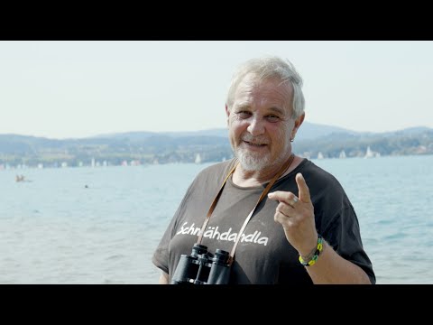 Stüngö feat. Dynomite - Atterseezeit | Lyrics Video | Austrian Reggae, Roots, Pop, Dialektmusik