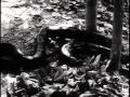 Vic Chesnutt - Thailand