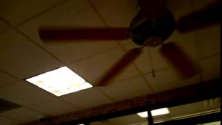 Kohler ceiling fans at Subway restaurant