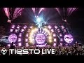 Tiësto Live Ultra Music Festival 2014