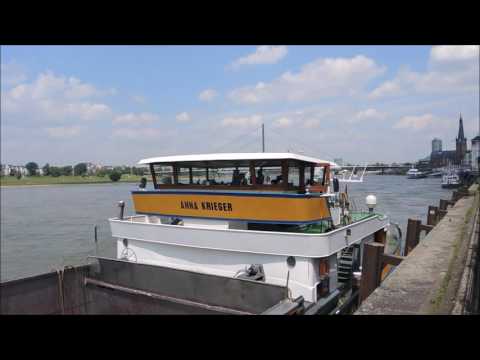Schiff Anna Krieger und süßer Hund auf dem Rhein
