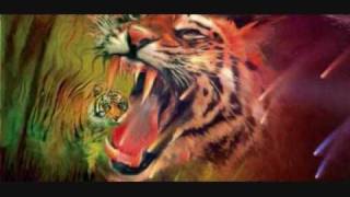 Empire Of The Sun - Tiger By My Side