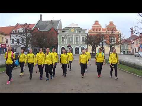 Podpořte rakovnické hokejky - pošlete ženský tým do Ghentu