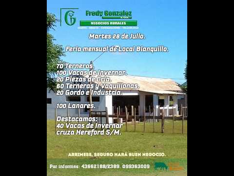 28/07/2026 Blanquillo - Durazno - Feria Mensual - Fredy González y Cía Ltda - Diego Prego