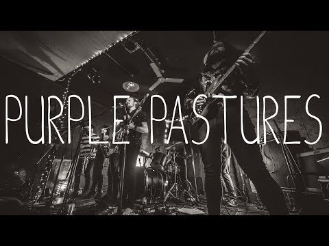 Purple Pastures - Graham Moes & The Petrichor {Live at The Bearded Lady}