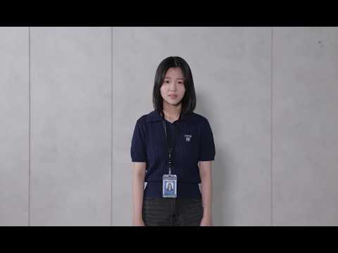 비디오 19