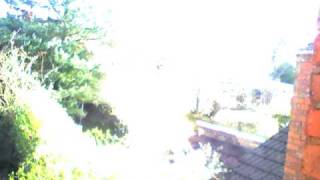 In the morning- An urban spring.