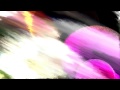 O M C   Lingo Was A Gringo HQ 720pMilkdrop Visual