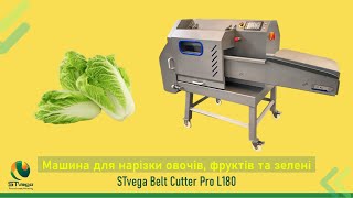Купить овощерезательную машину Промислова овочерізка, нарізка капусти, салатів, кабачків, огірк - Изображение 11 | Machineryline KZ Новая овощерезательная машина Промислова овочерізка, нарізка капусти, салатів, кабачків, огірк | Изображение 11 - Machineryline