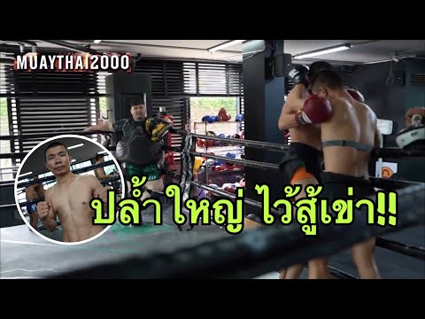 &amp;#34;กัปปิตัน&amp;#34; ปล้ำของใหญ่ ก่อนเจอ &amp;#34;หนึ่งล้านเล็ก&amp;#34;