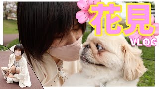 初めてのお花見デート🐶