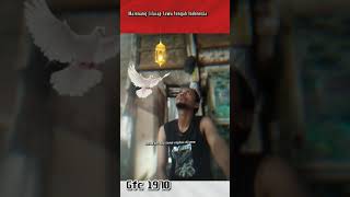 Download lagu Rembulan malam lirik mp3 Download lagu Rembulan malam lirik mp3