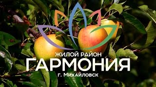 Ярмарка в жилом районе "Гармония", 15 октября . Третий Рим, Михайловск, Ставропольский край